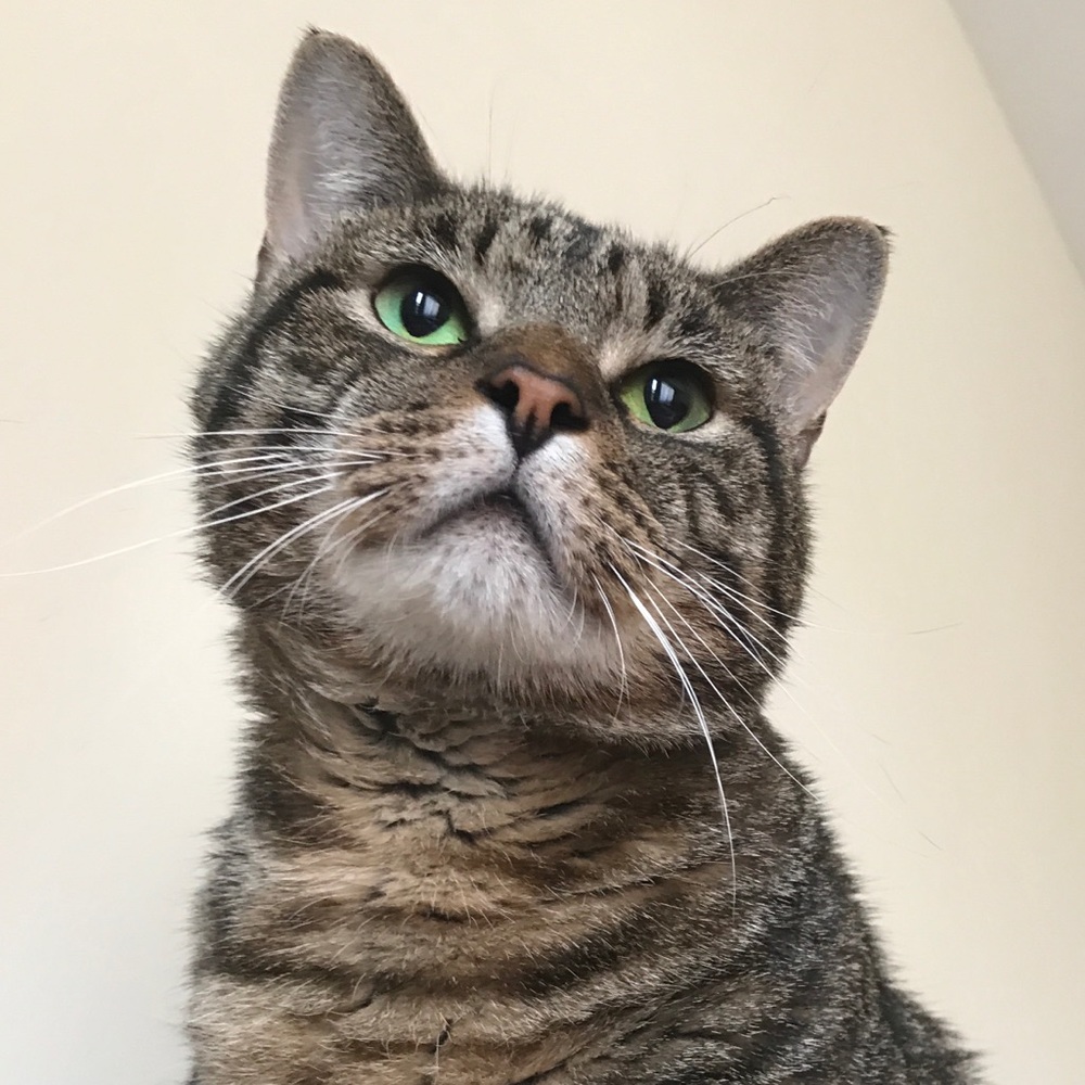 Meet your Posher, Jenny